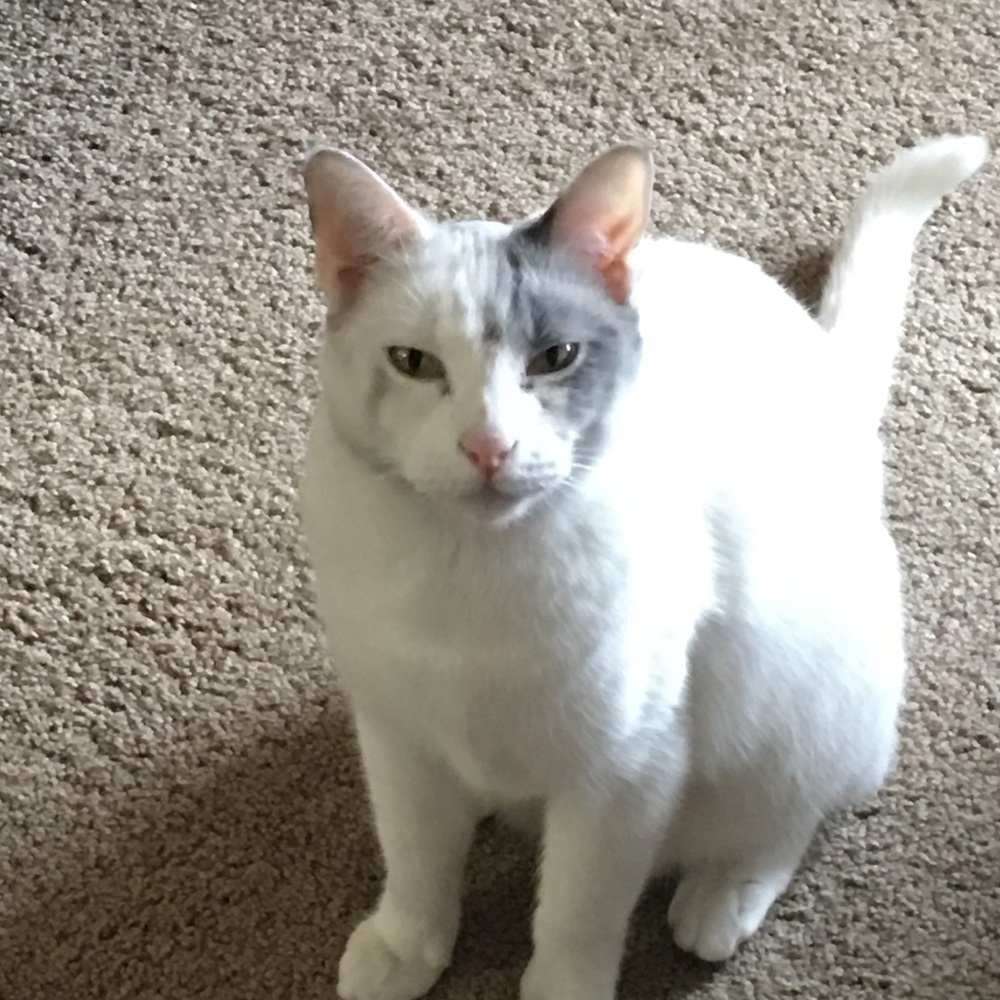 Meet your Posher, Kelly